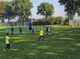 Mini Toernooitje op Sportpark Het Springer met S.K.N.W.K. JO7 en De Jonge Spartaan JO7 (18/174)